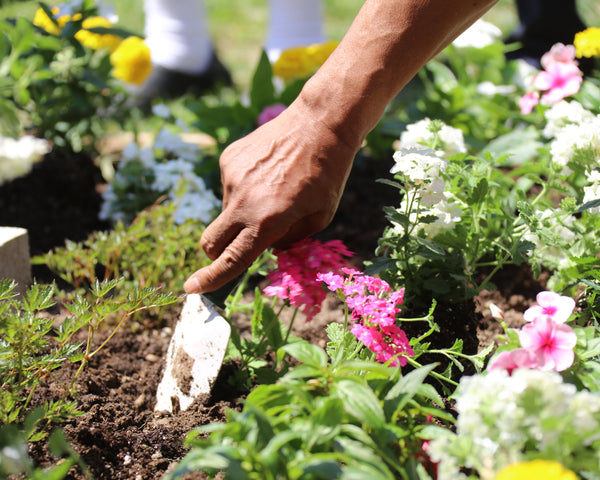 Expert Tips On Planting Flowers In Your Garden