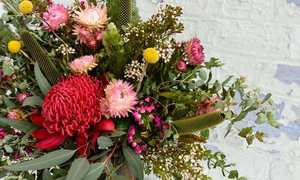 Our Favourite Native Flowers for Australia Day