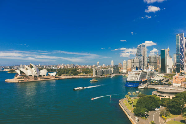 A Year in Bloom: Exploring Sydney’s Seasonal Flowers