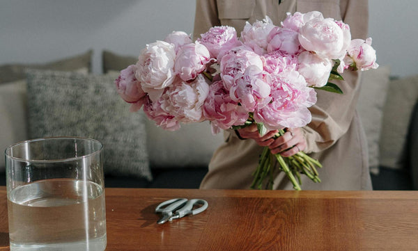 Busting 5 Common Myths About Flower Care