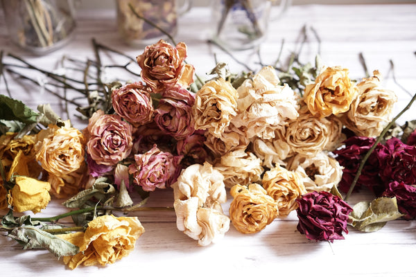 Ways to Preserve Your Holiday Flowers For Keepsake
