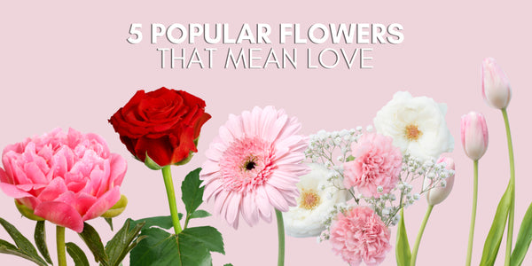 5 Popular Flowers That Mean Love