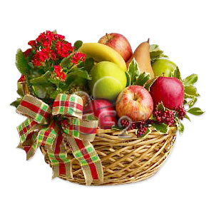 Hamper with Plant