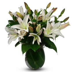 Classic Lilies