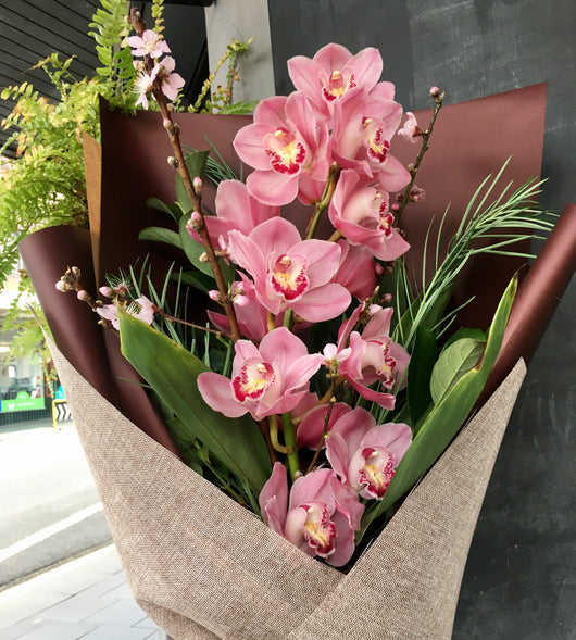 Elegant Orchid