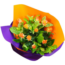 Orange Roses